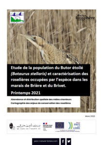 Etude de la population du Butor étoilé et caractérisation des roselières occupées par l’espèce dans les marais de Brière et du Brivet – Printemps 2021- PNR de Brière