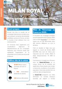 Bilan de l&rsquo;hivernage du Milan royal en 2025 – LPO