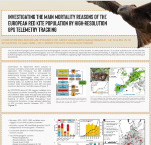 Poster : Main mortality reason of the european Red kite population by high-resolution GPS telemetry data – EUROKITE, TB Raab