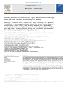 Eoliennes : Red kite (Milvus milvus) collision risk is higher at wind turbines with larger rotors and lower clearance, evidenced by GPS tracking –  Biological conservation